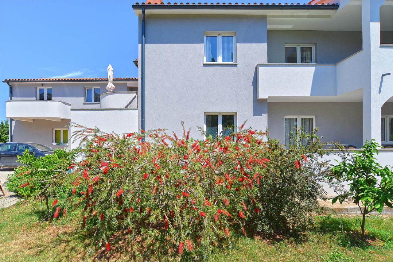 פאז'אנה Apartments Elizabeta 1701 מראה חיצוני תמונה